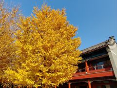 -北京石刻艺术博物馆(五塔寺)