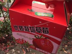 -小鱼草莓采摘园农家乐·小鱼餐厅