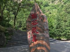 -少华山国家森林公园