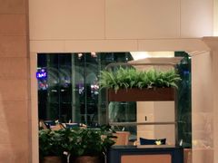 -深圳威尼斯英迪格酒店-邻芙花廊下午茶·NINFA GALLERY·蛋糕·咖啡