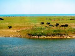 -青海湖国家重点风景名胜区