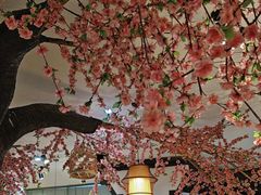 -偶屋里钵少爷(时代广场店)