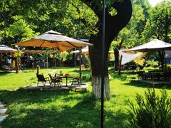 -Supine Bistro溯泮餐厅