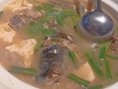 -河畔春天时尚餐厅