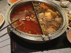 -一绪に寿喜烧(荟聚店)