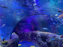 -沈阳海洋探索中心