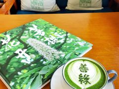 -菩提树下茶咖鼓捣