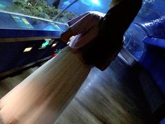 -石家庄海洋公园