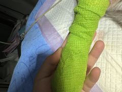 -谐和益家动物医院·免疫绝育·血液透析·宠保定点医院(高新伊藤分院)