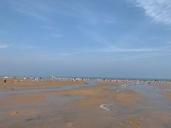 -日照海滨国家森林公园