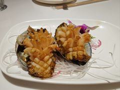 碳烧鲍鱼-正黄旗海鲜烧烤大排档(延安路总店)