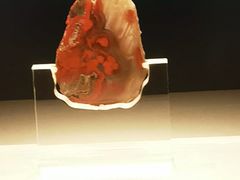 -北京大葆台遗址博物馆