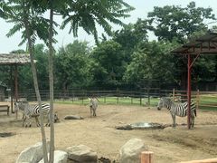 -西安秦岭野生动物园