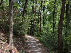 -青龙山国家森林公园
