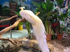 -正佳雨林生态植物园