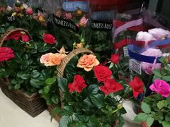 -无锡文化工艺品市场(槐古路店)