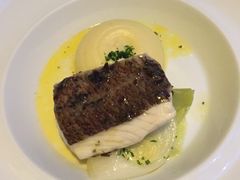 -迪拜帆船酒店海底餐厅