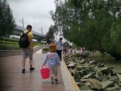 -宝安西湾红树林湿地公园