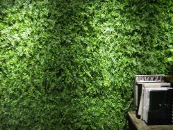 -V-STAR威斯达•高级私人定制