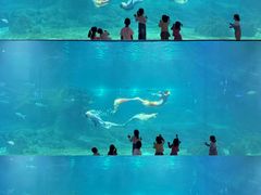-福州罗源湾海洋世界旅游区