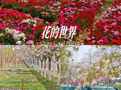 -盈香心动乐园