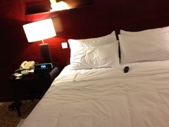 床-上海圣淘沙万怡酒店