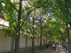 -钓鱼台国宾馆