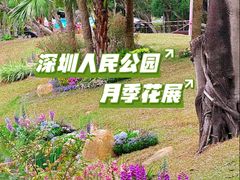 -人民公园(罗湖区)