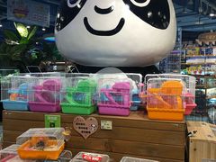 -龟与熊猫宠物公园(南坪店)
