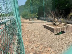 -南京金牛湖风景区