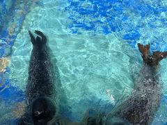 -太平洋海底世界