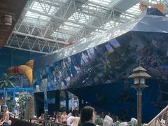 -青岛东方影都融创水世界