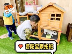 -古力古利托育早教中心(澳门路校区)