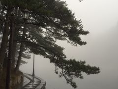 -庐山风景区花径公园