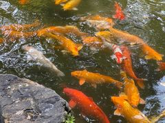 -杭州植物园