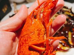-红盔甲·小龙虾(天钥桥店)
