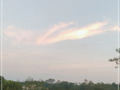 -南宁良凤江国家森林公园