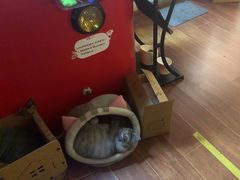 -H立方实景剧情密室(天河旗舰店)