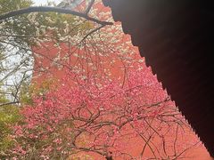 -钱王祠