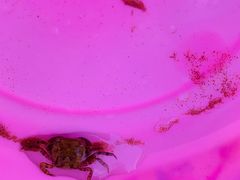 -青岛银沙滩温德姆至尊酒店