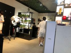-魔型社