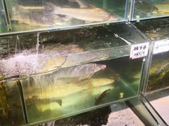 -胖姐渔村(中源大道店)