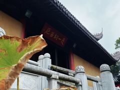 -灵谷景区