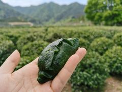 -龙坞茶村