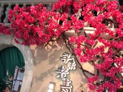 -前海沿·青岛菜(李沧万达店)