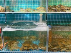水产区-三妹小龙虾·黄油蟹(华侨城总店)