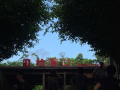 -胡里山炮台