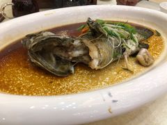 -东豪园林海鲜酒家(南港路辅路店)