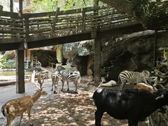 -长鹿旅游休博园