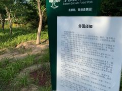-东郊湿地公园